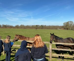 Students meeting horses at stud in Newmarket