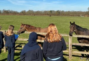 students and horses at Careers Festival