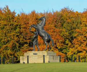 Newmarket partners agree to back bid to become UK Town of Culture